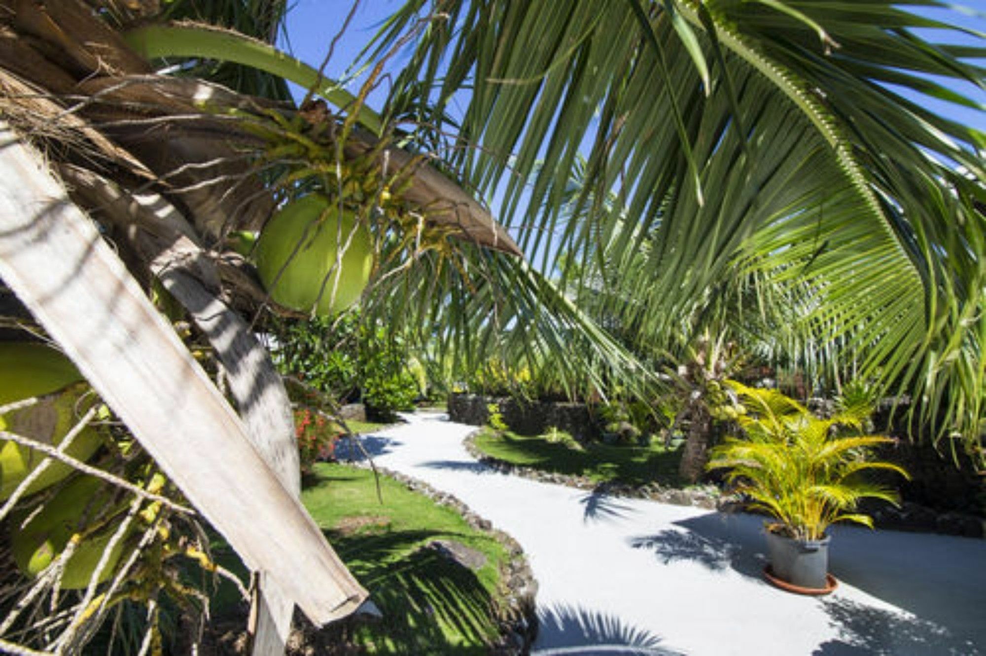 Oa Oa Lodge Bora Bora Exterior foto